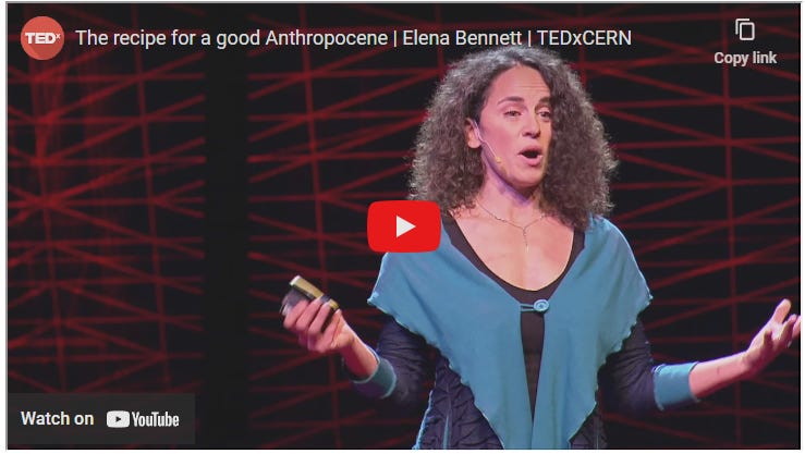 screenshot from Elena Bennett's TED talk, The Recipe for a Good Anthropocene