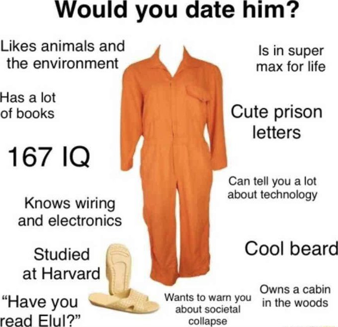 A meme asking if you would date the Unabomber