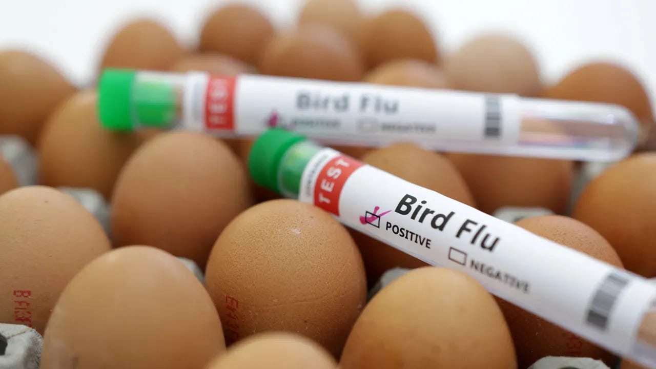 CDC on Friday issued a health alert to inform doctors about bird flu ...
