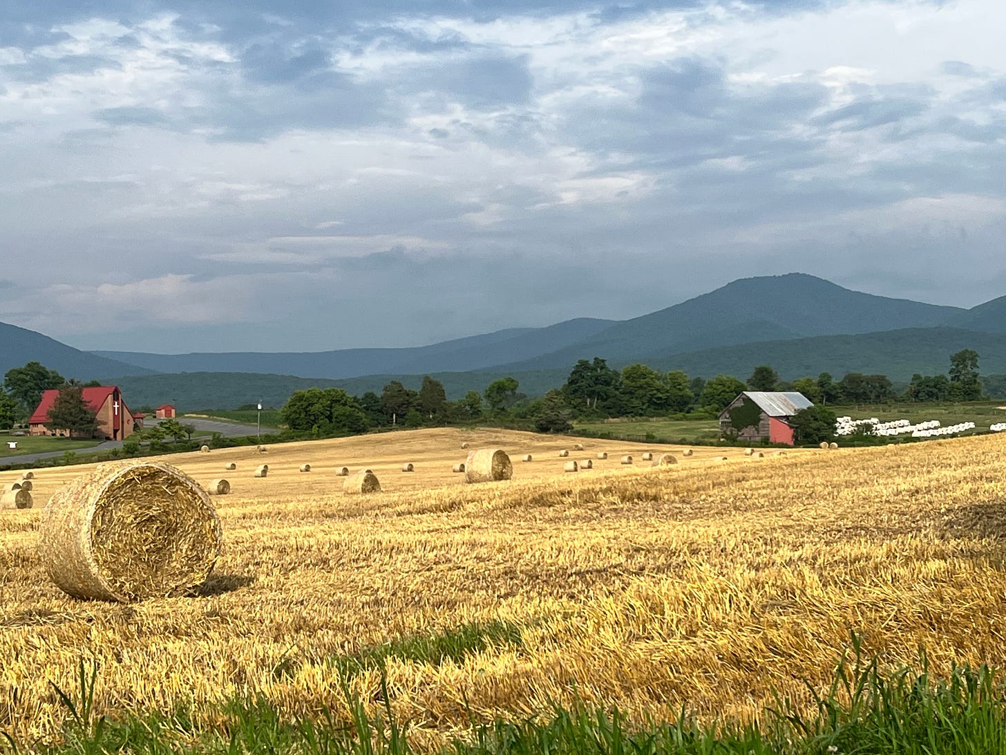 Cardiovascular Disease Deaths Increase in Rural Areas, Decline in Urban Areas