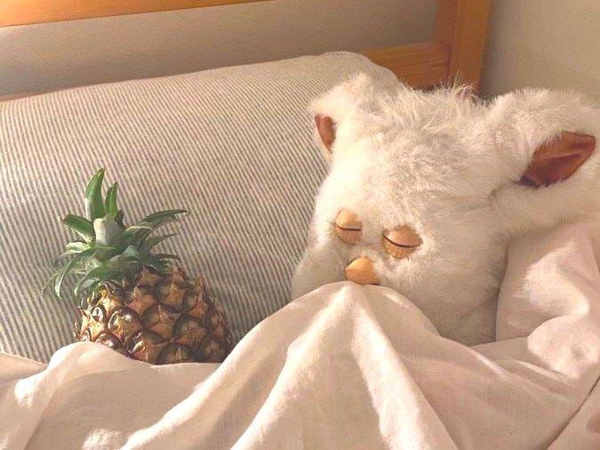 This may contain: a white stuffed animal laying on top of a bed next to a pineapple under a blanket