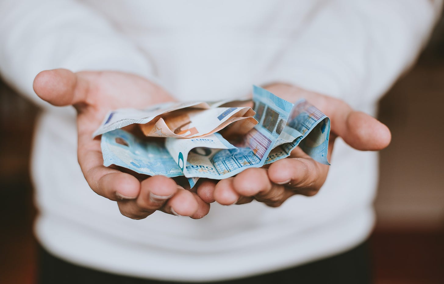 Person holding euro bills in hands