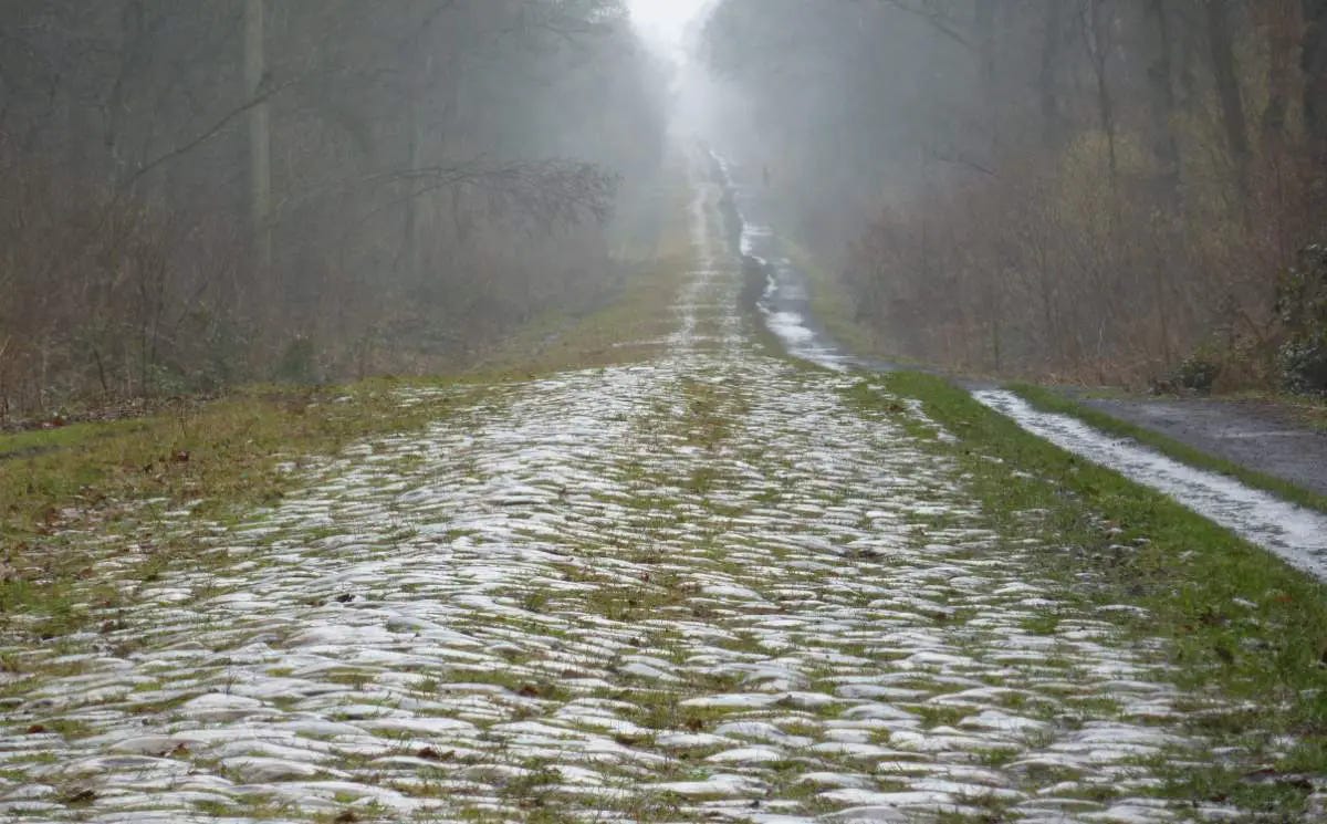 Trouée d'Arenberg (Arenberg Forest) - Cycling Passion
