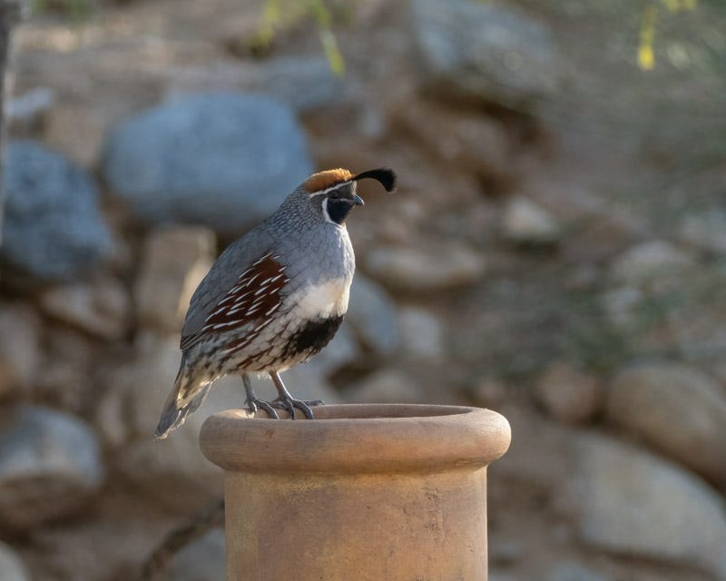 20240322-mby-3-Edit.jpg