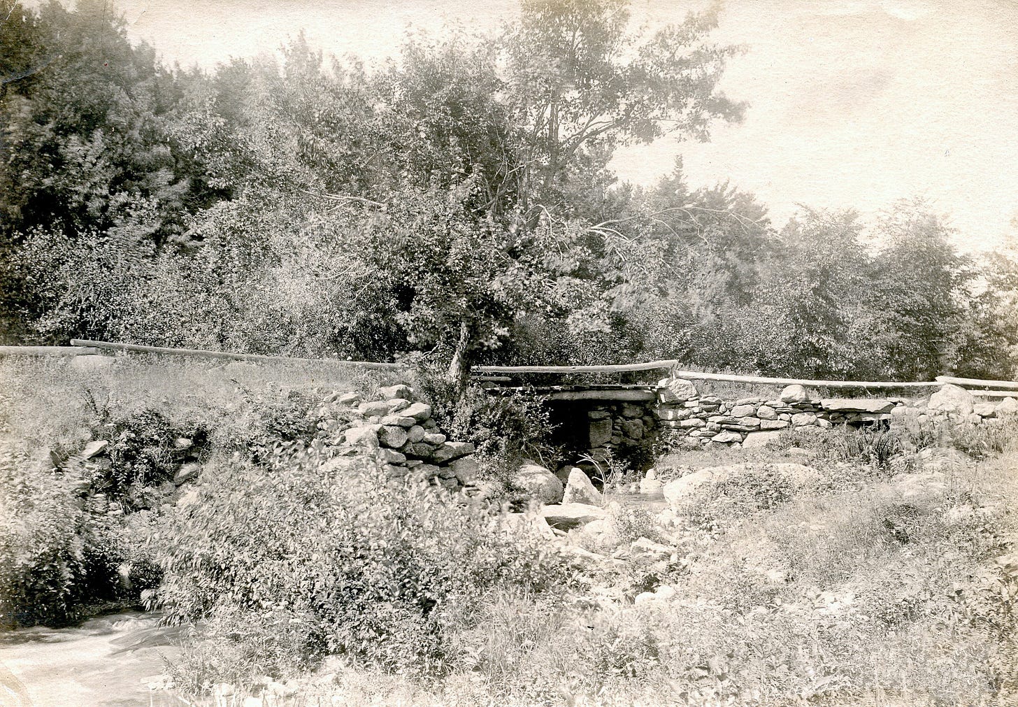 Bridge over stream