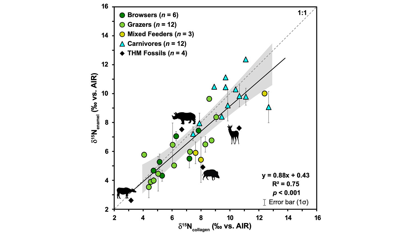 A scatterplot showing a positive association between enamel and collagen measurements of nitrogen stable isotopes. A scatterplot showing a positive association between enamel and collagen measurements of nitrogen stable isotopes.