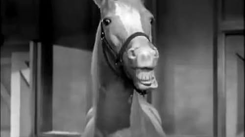 Mister Ed (TV Series 1961–1966) - IMDb