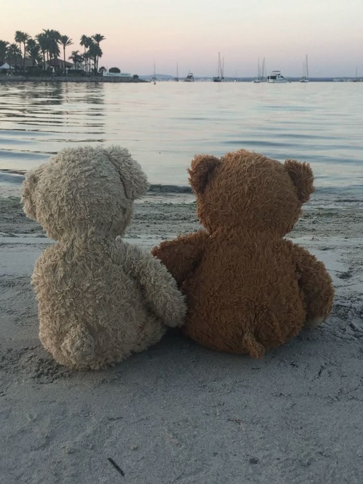 This may contain: two teddy bears sitting next to each other on the beach
