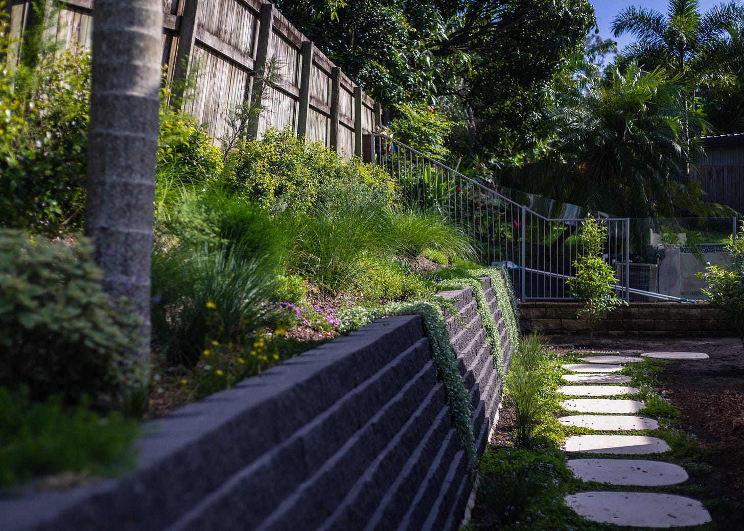 Australian native garden