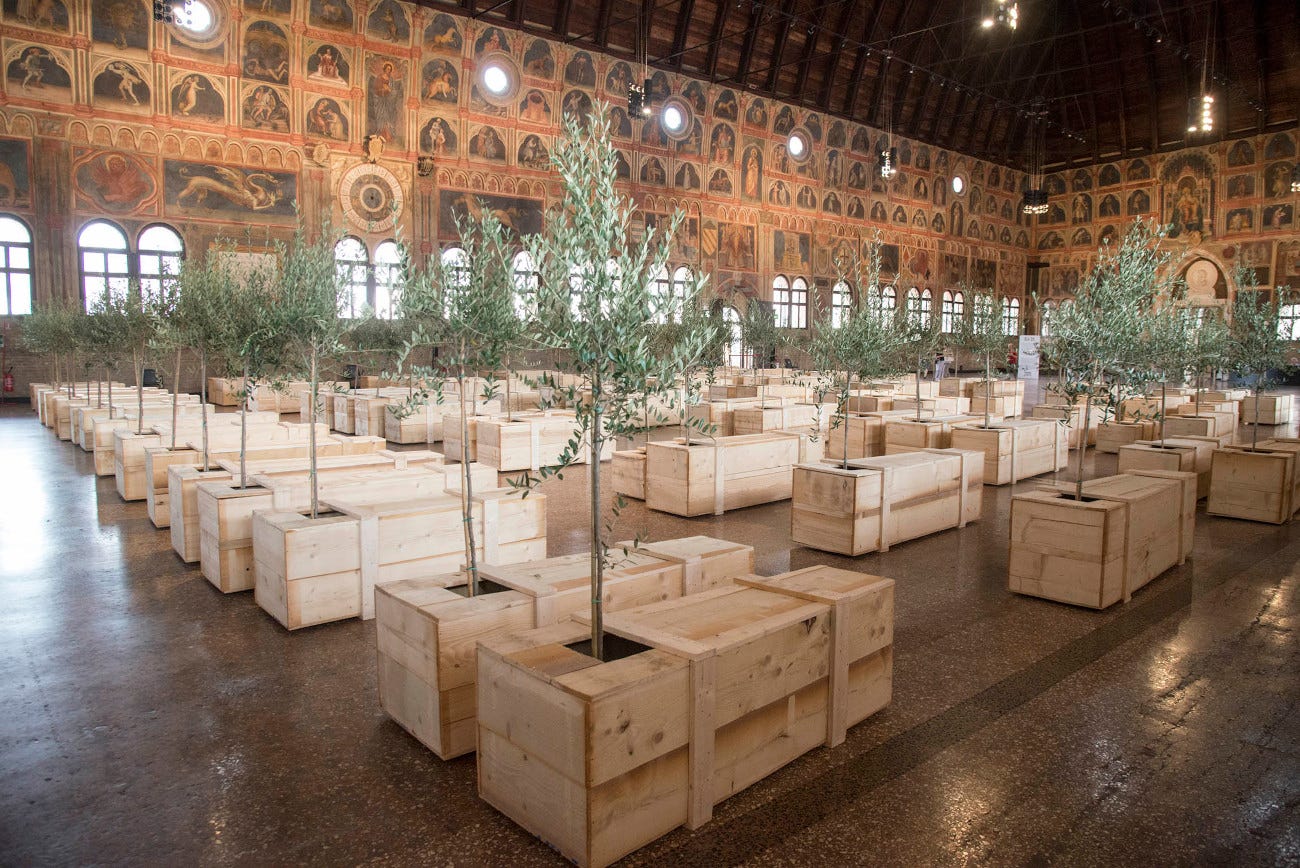 Padua, Palazzo della Ragione welcomes Ex It, Yoko Ono's site-specific  installation on peace