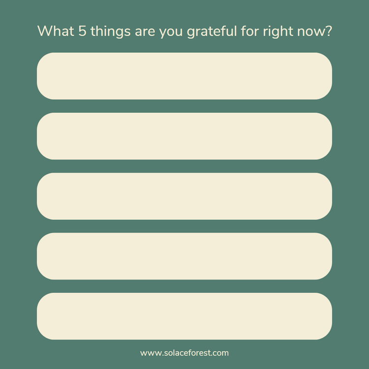 Form asking for 5 Things you are grateful for