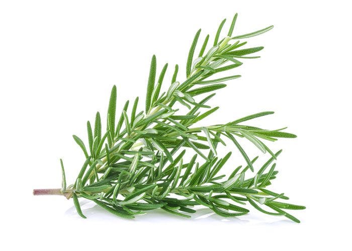 Rosemary | Good Food