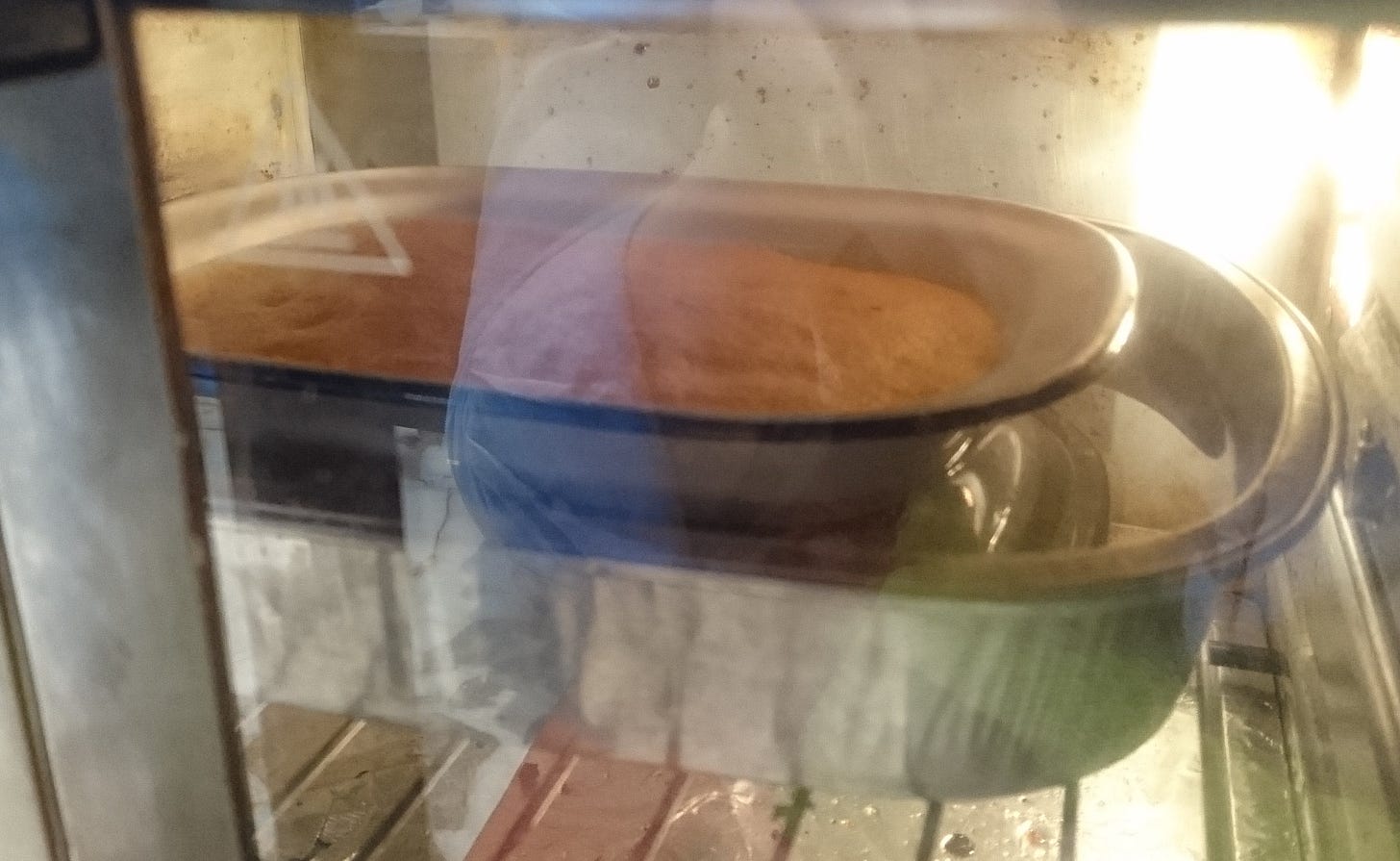 A custard with a light brown crust on the top cooks in a white square enama ldish. The slight flange is highlighted with a line of blue paint. The dish sits inside of an alumin tray water bath. Both rest on a rack inside of a toaster oven