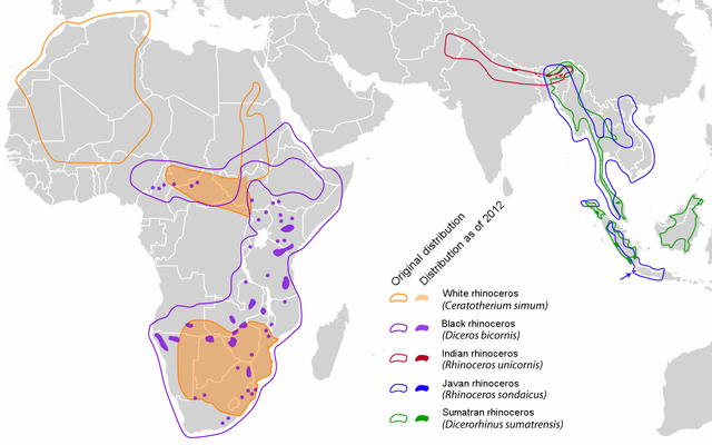 r/MapPorn - Distribution as of 2012 White rhinoceros (Ceratotherium simum) Black rhinoceros (Diceros bicornis) Indian rhinoceros (Rhinoceros unicornis) Javan rhinoceros (Rhinoceros sondaicus) Sumatran rhinoceros (Dicerorhinus sumatrensis) Original distribution