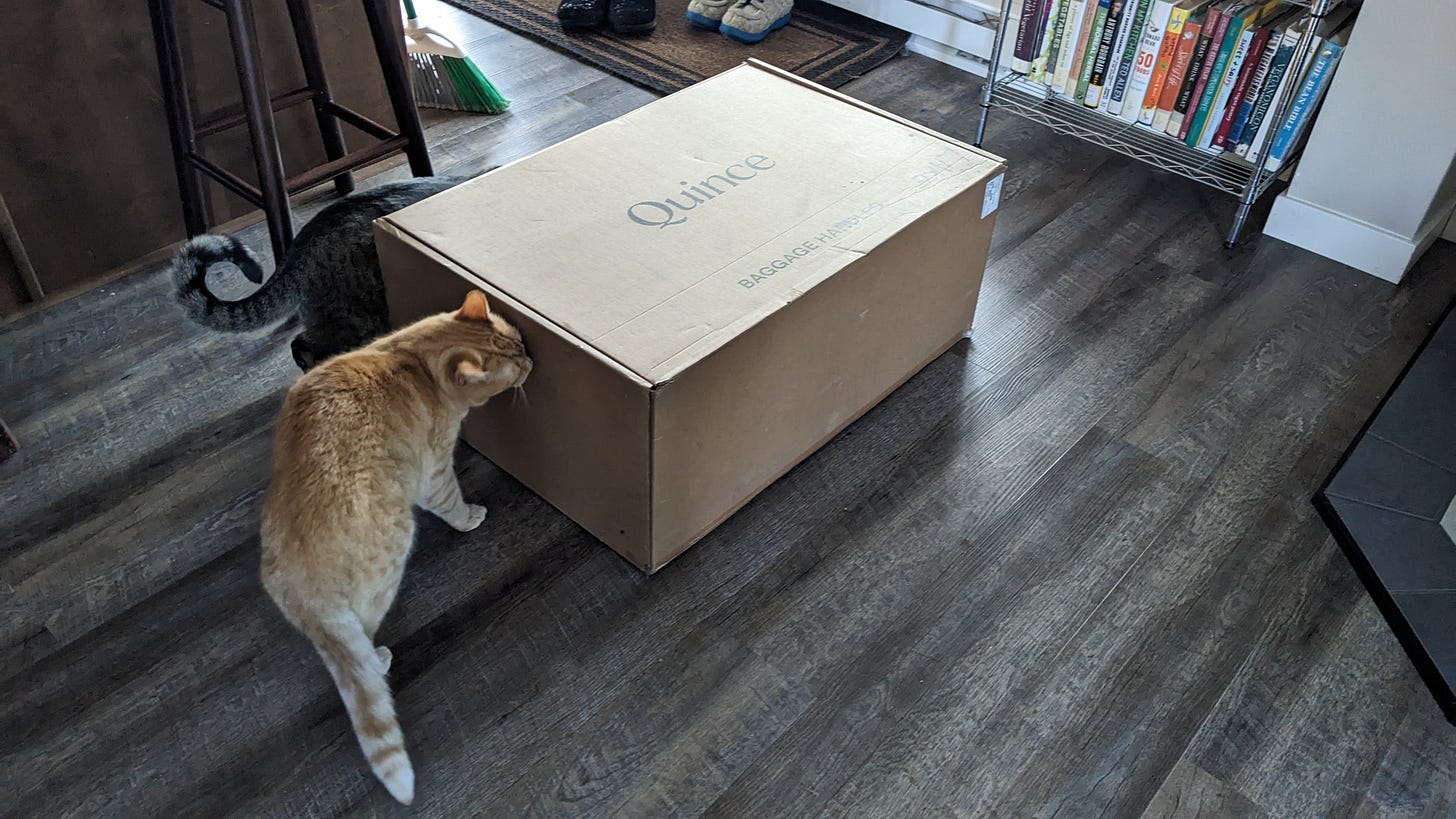 two cats sniff a giant box with a suitcase in it