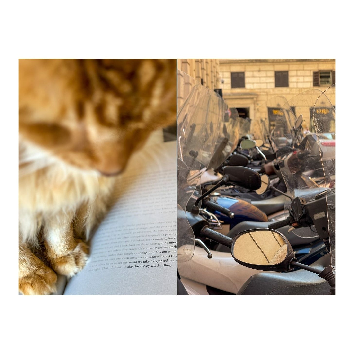 A tangle of parked motorbikes along a Roman street, capturing everyday city rhythm and movement.