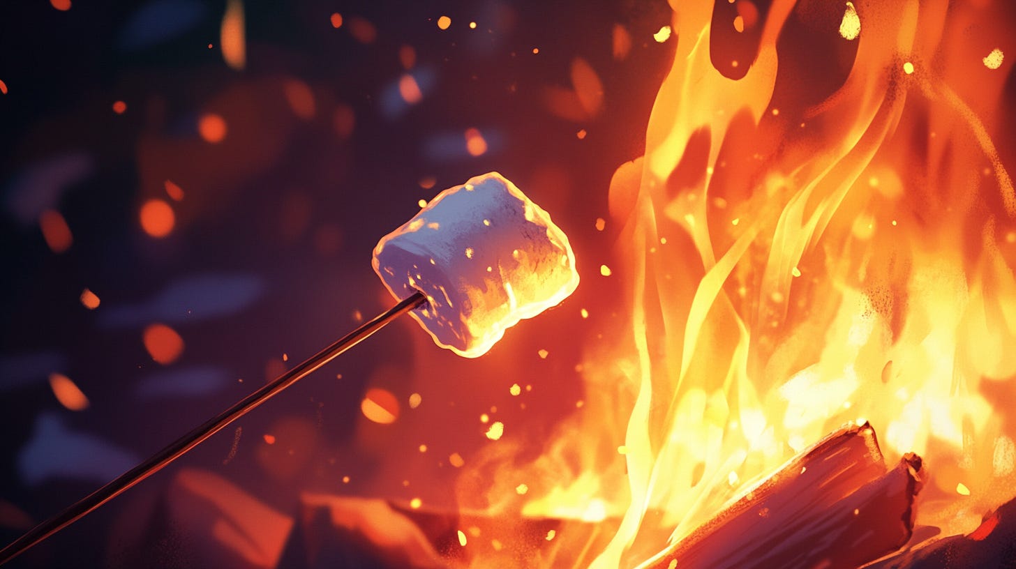 A marshmallow roasting near a fire.