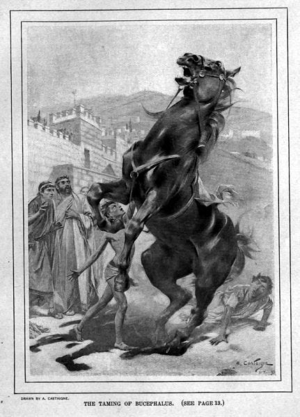 File:The taming of Bucephalus by Andre Castaigne (1898-1899).jpg