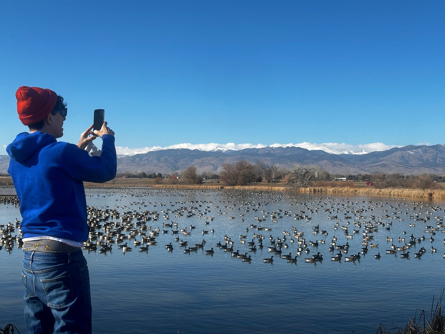 Andrea Gibson wearing a bright blue hoodie, red beanie, and jeans stands on the edge of a peaceful lake, with a smile on their face, taking a photo with their phone. The lake is filled with thousands of geese floating serenely on the water. In the background, a stunning view of snow-capped mountains and a clear blue sky adds to the picturesque scene. The warm sunlight highlights the natural beauty of the landscape.