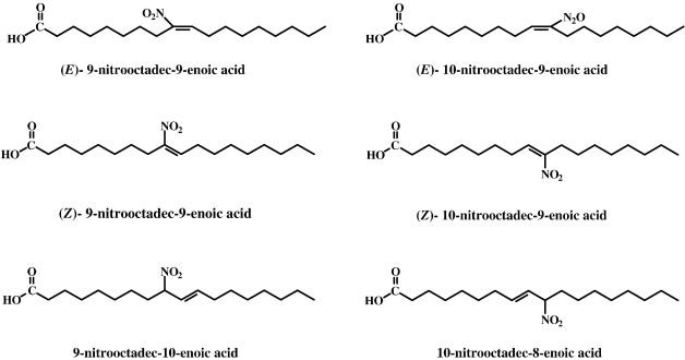 Nitrated fatty acids: Mechanisms of formation, chemical characterization,  and biological properties - ScienceDirect