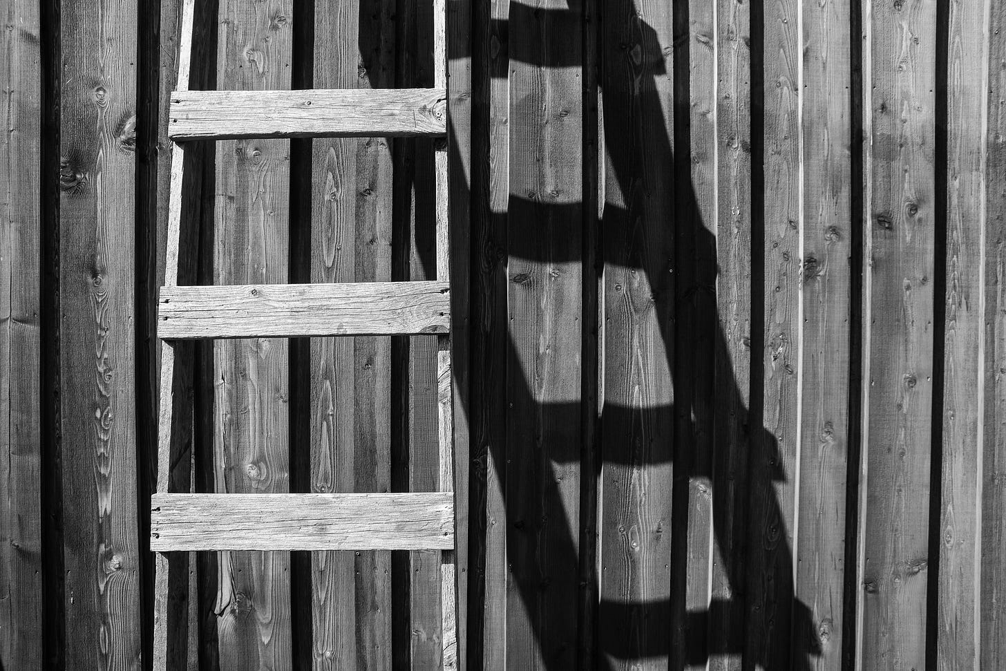 ladder on a wall with shadow