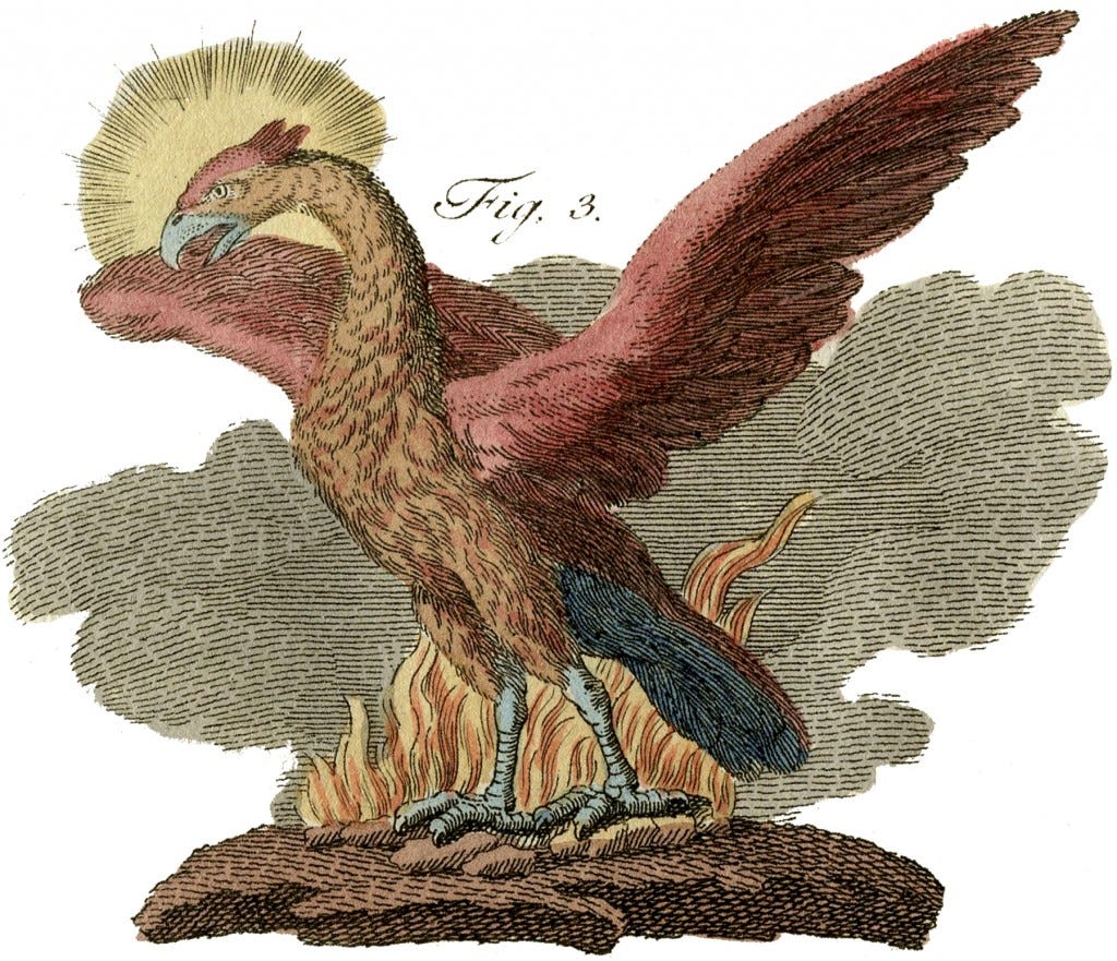 Public Domain Phoenix Image