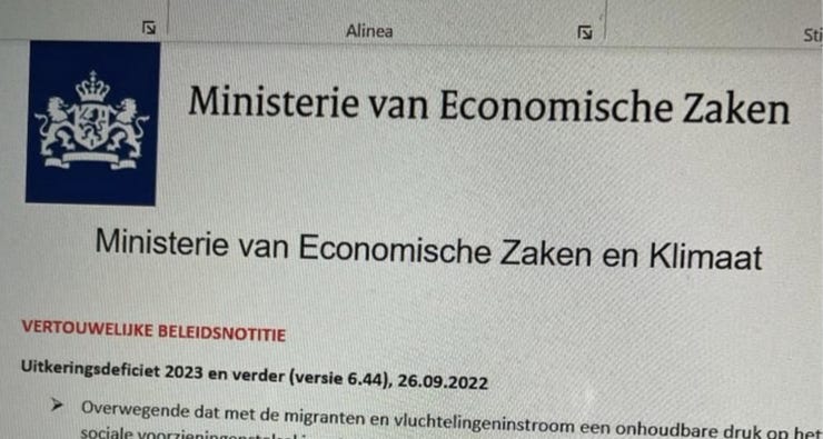 Screenshot van het nepdocument.