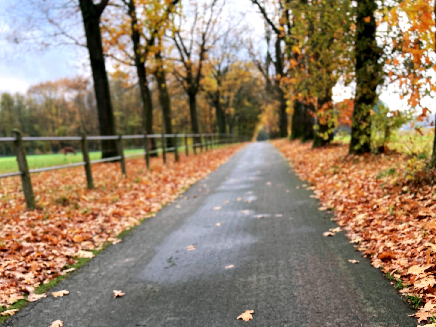 Foto tijdens een herfstwandeling