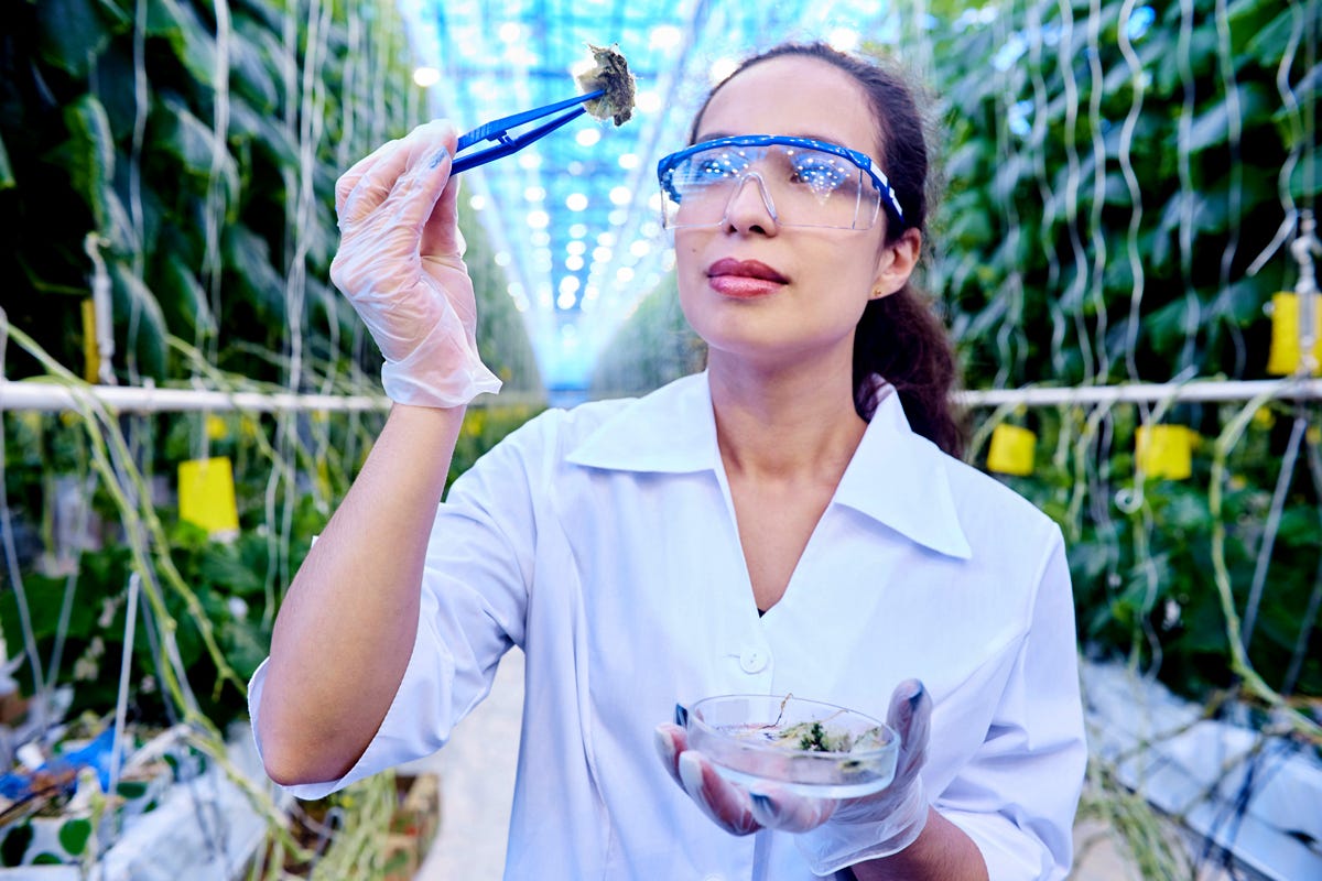 Synthetic Biology Is Changing What We Eat. Here's What You Need to Know. |  Civil Eats