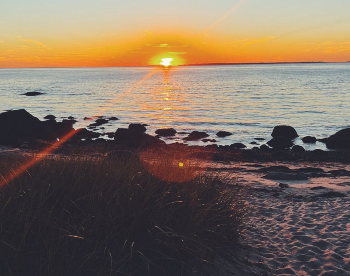 A sunset at the beach, with dune grass in the forefront