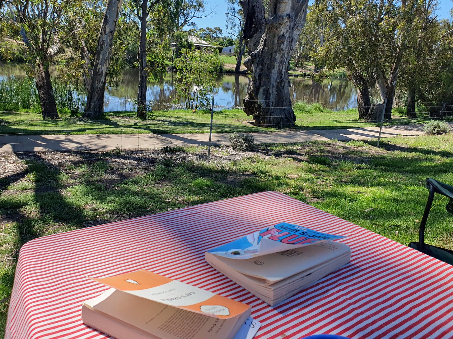 Two books on a camping table with red and white striped table cloth. A river, trees and grass can be seen in the close background.