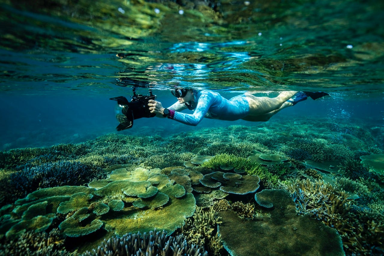 John Burns and Colleagues of MEGA Lab are Pioneering a New Era of Marine  Science » Hawai'i Data Science Institute