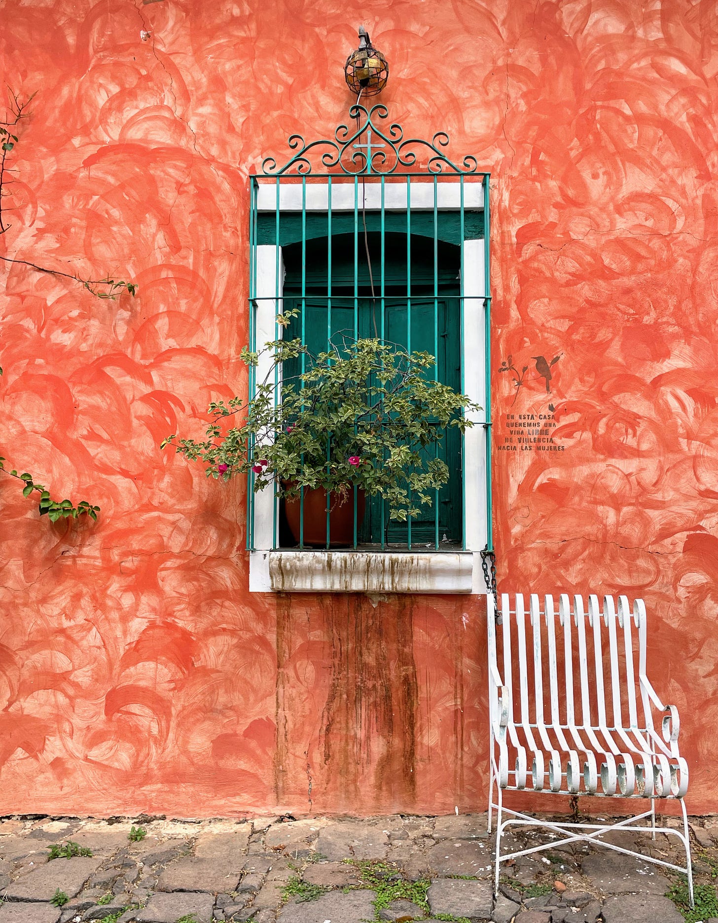 A white metal chair sits before a window covered with green metal grating and a flowering plant, which is part of a home with orange walls