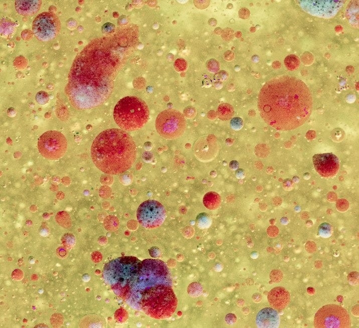 blue and red beads on brown surface