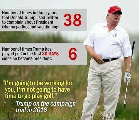 donald trump golf statistics