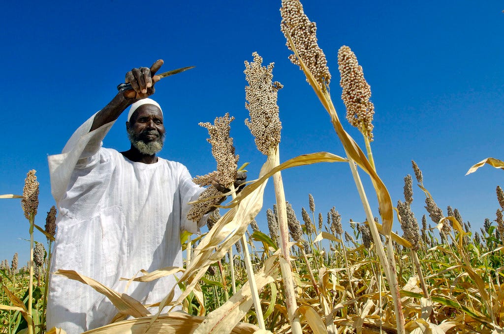 Investing in Africa's farms — and its future | A Sudan farme… | Flickr