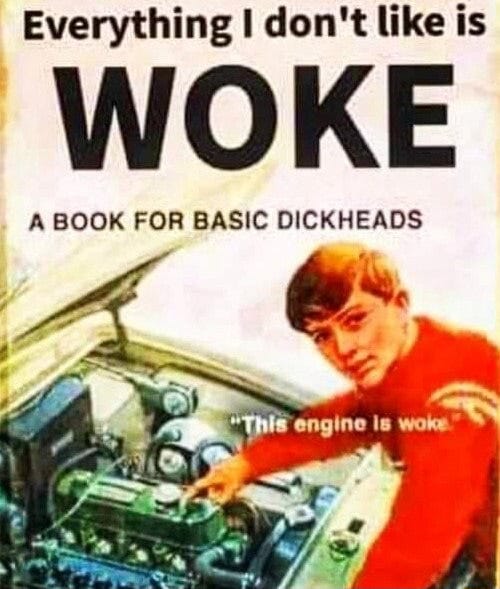 book cover, man in letterman's jacket looking up from car engine. Title: Everything I Don't Like is Woke: A guide for basic dickheads. "