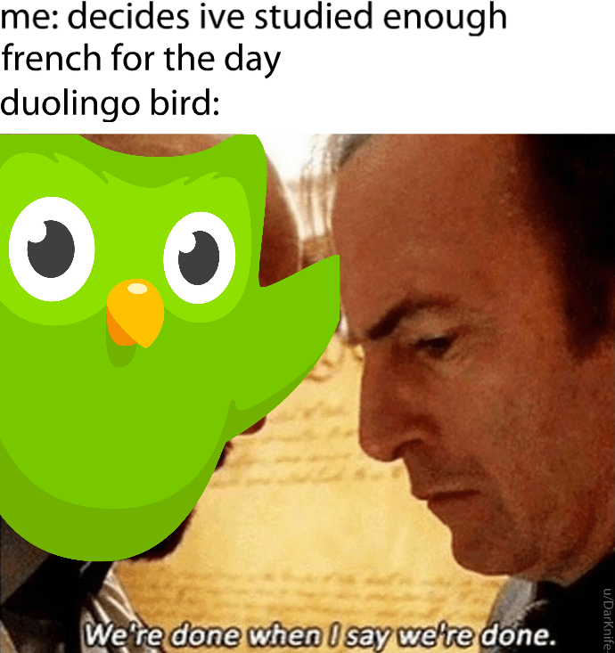 26 Duolingo Memes That'll Strike Fear In Your Heart - Memebase - Funny Memes
