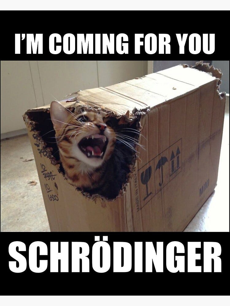 Schrodingers Cat meme" Poster for Sale by lmswebdev | Redbubble
