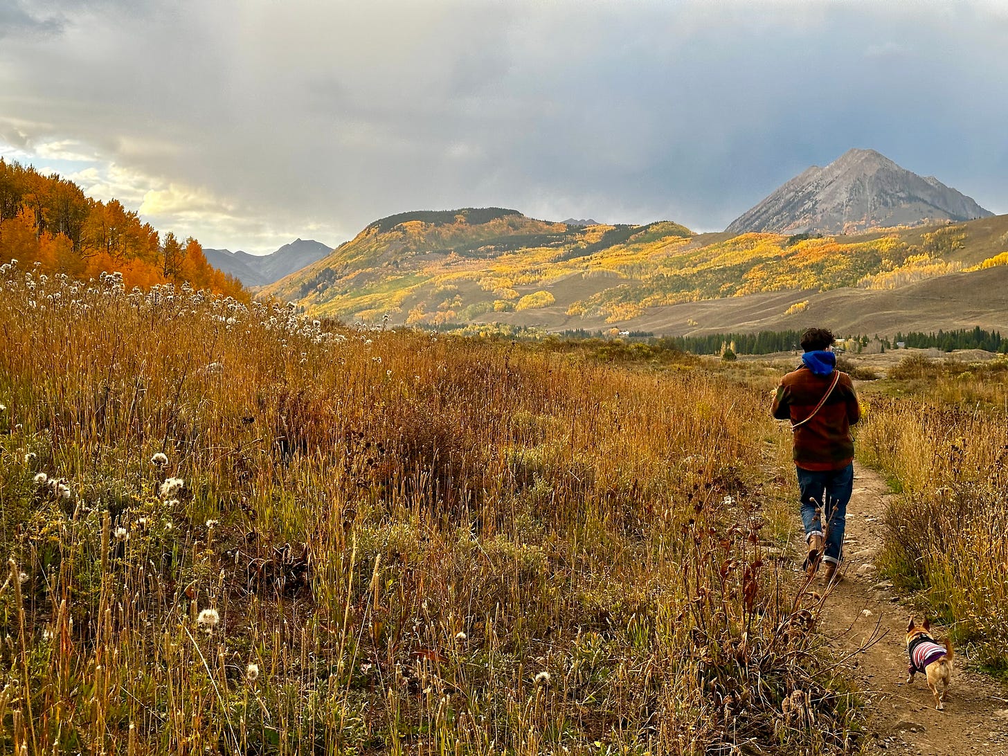 Andrea Gibson is hiking in the mountains of Colorado during the fall, surrounded by golden hues as the trees begin to change color. Andrea's back is to the camera, wearing a red flannel shirt. A small dog follows behind them along the trail, adding a sense of companionship to the serene, autumnal scene.