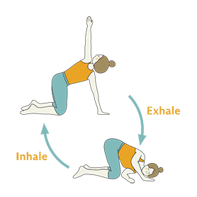 Thread The Needle Pose Flow Yoga (Urdhva Mukha Pasasana Flow) | Yoga  Sequences, Benefits, Variations, and Sanskrit Pronunciation | Tummee.com