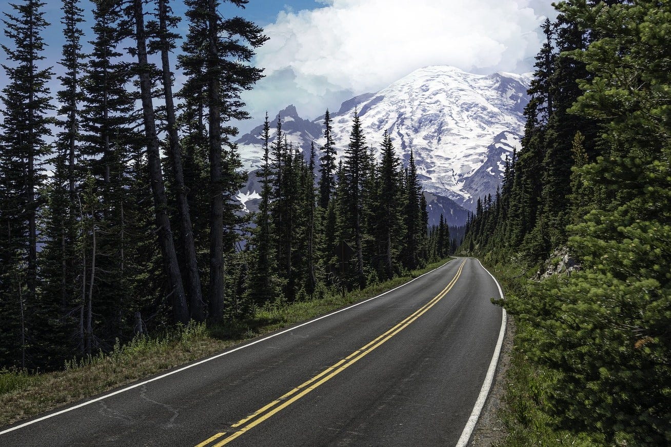 A road in NW Washington winds through pine trees toward a mountain.