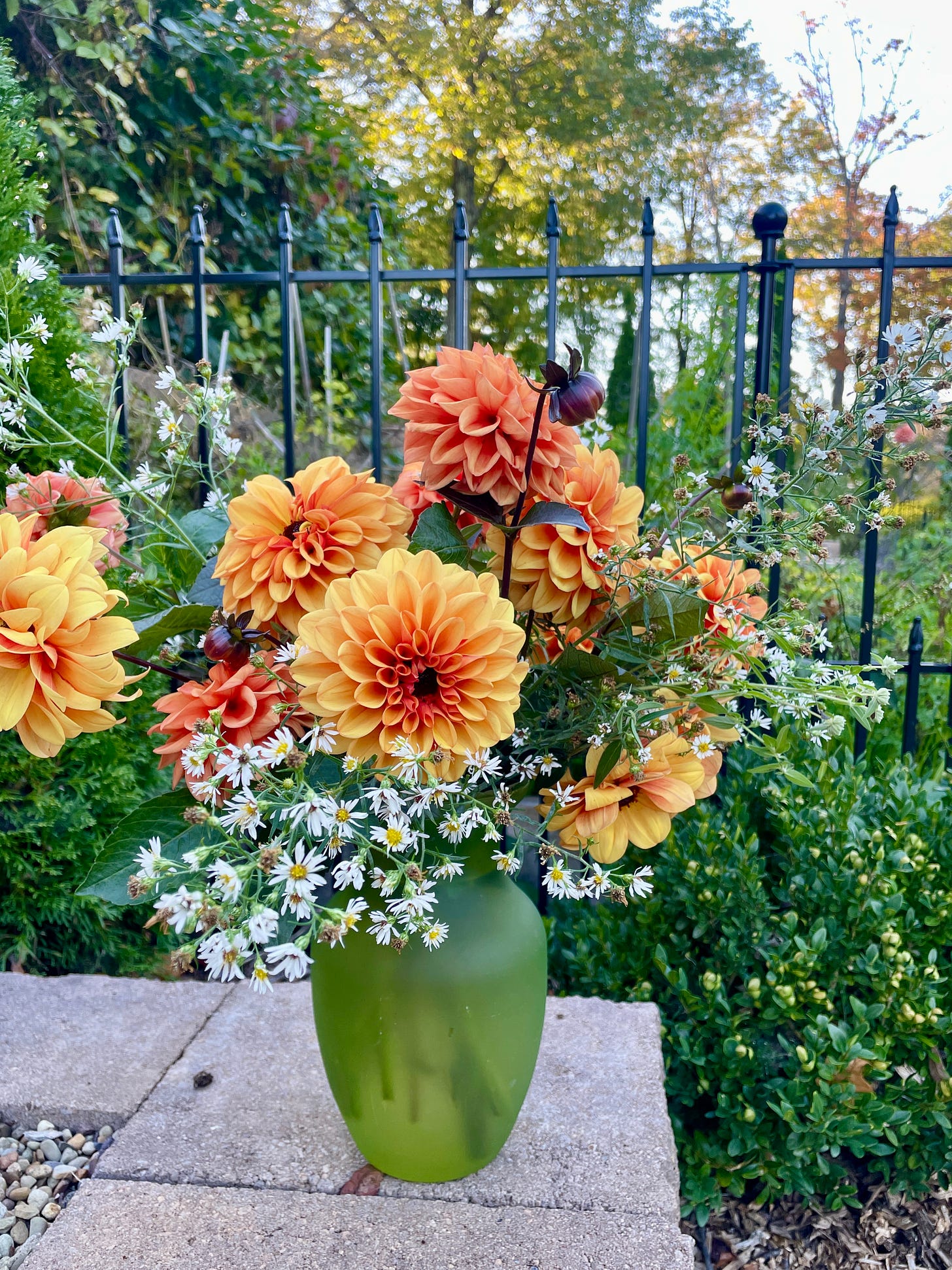 Dahlia ‘David Howard’ and Panicle Aster make a great combo in a vase for October. 