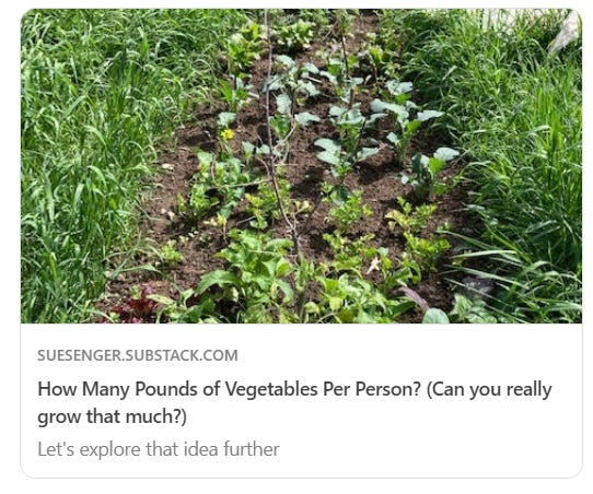 row of garden vegetables