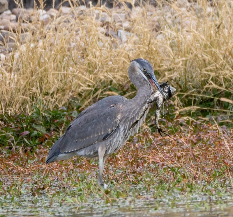 20241116-ElRio-221-Edit.jpg