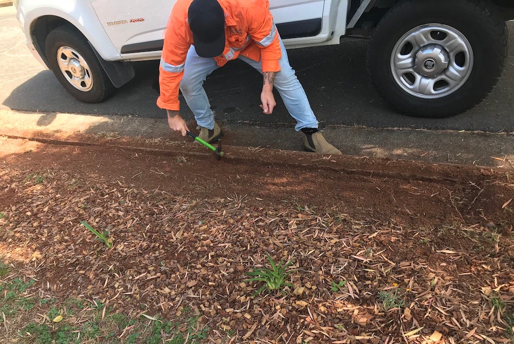 Photo clearing at the edge of the kerb