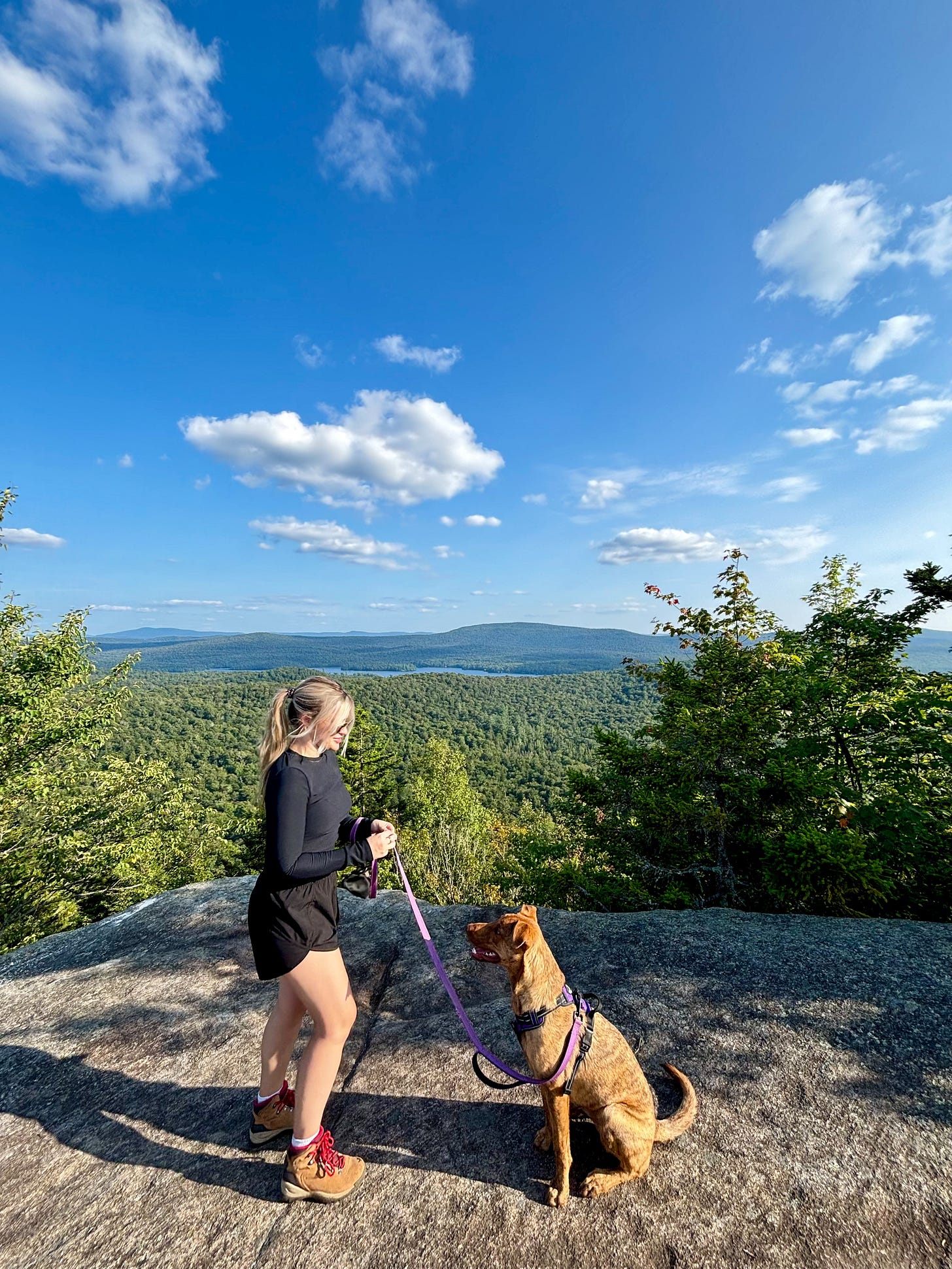 Woman hiking with a dog on a mountain overlook, surrounded by lush green trees and blue skies, enjoying nature and an active lifestyle. Woman hiking with a dog on a mountain overlook, surrounded by lush green trees and blue skies, enjoying nature and an active lifestyle.