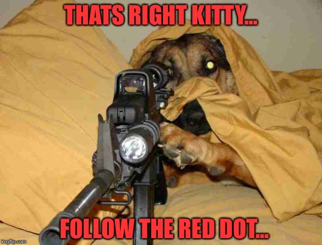 red dot Memes & GIFs - Imgflip