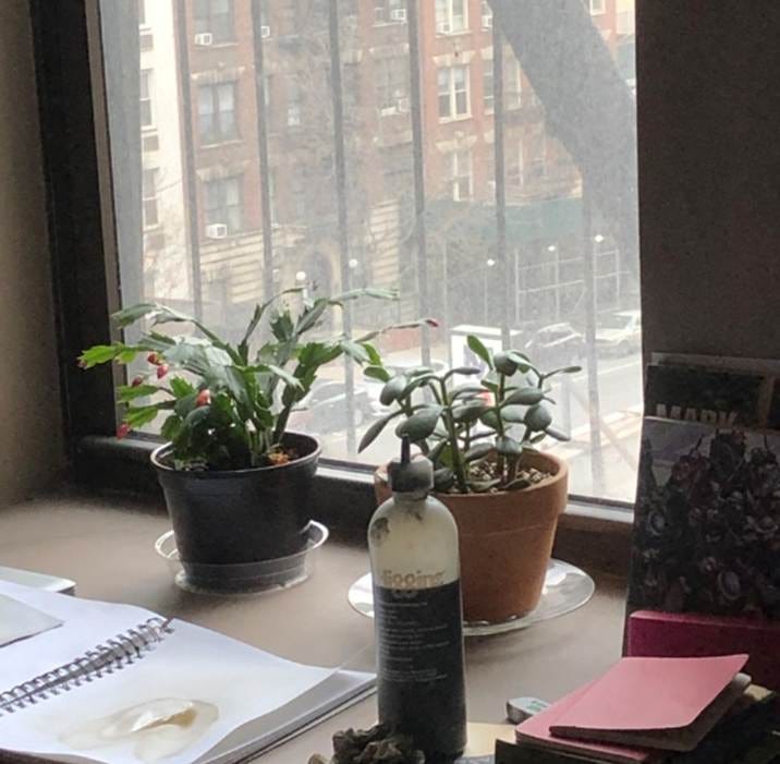 A desk with a book and a bottle of water on it

AI-generated content may be incorrect.