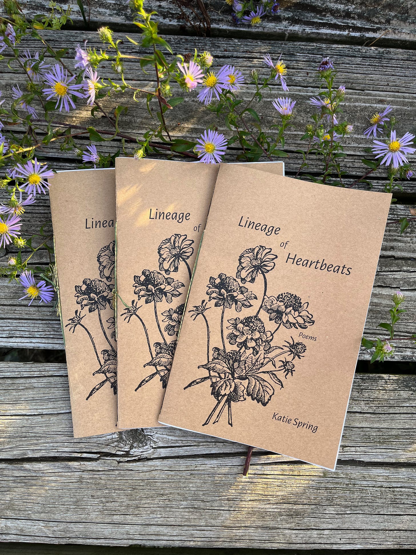 A poetry chapbook with a brown cover, titled "Lineage of Heartbeats" on top of a faded wooden picnic table, with chicory blossoms around it.